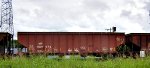 MP 589074